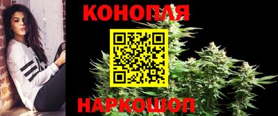 ГАЛЛЮЦИНОГЕННЫЕ ГРИБЫ Краснознаменск