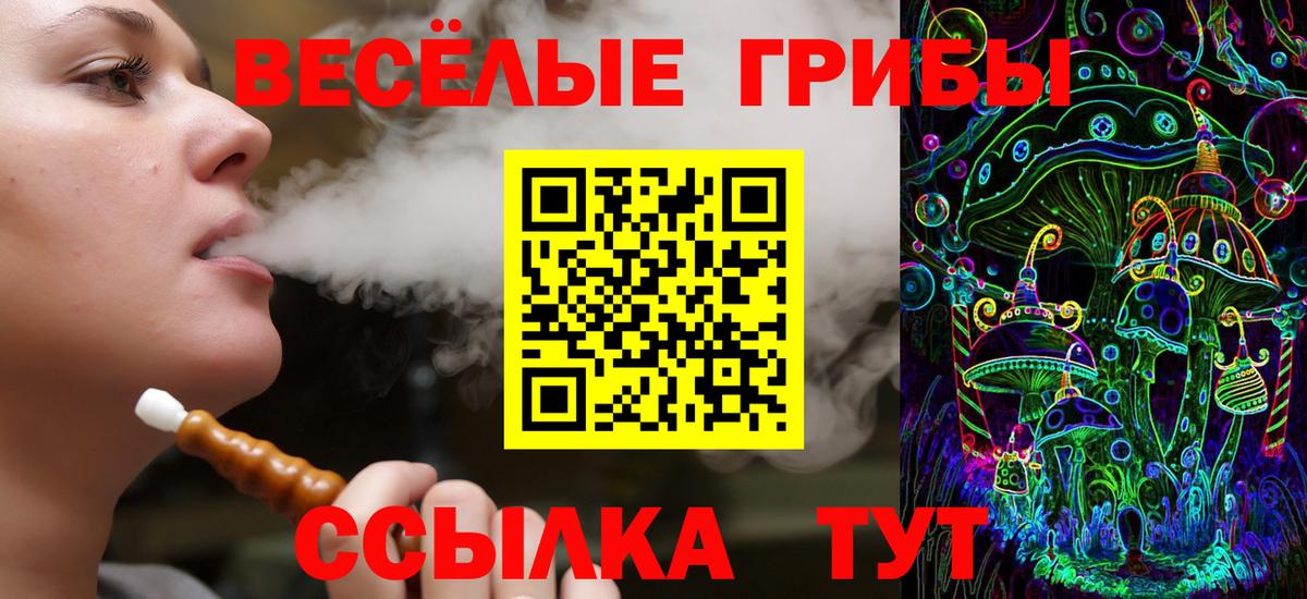Киров  Галлюциногенные грибы Psilocybine cubensis  Вход с VPN 